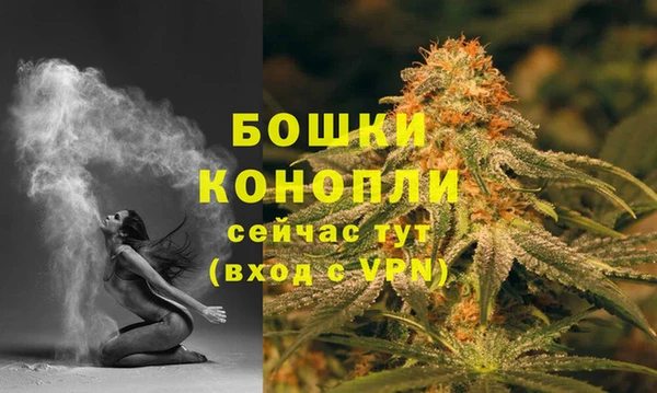 PSILOCYBIN Новодвинск