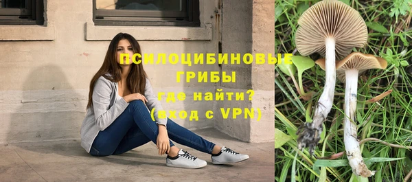 МДПВ Абинск
