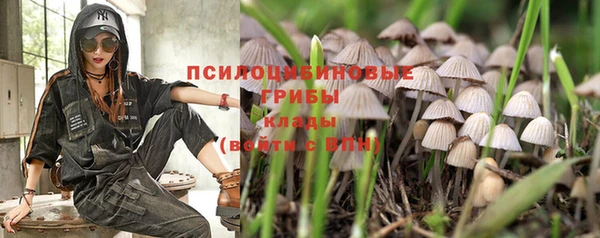 ALPHA-PVP Новокубанск